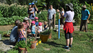 Gardeners gather at the Garden Incubator at John Taylor Park, one of the many community gardens that make up the City’s Common Ground program. Image Source: https://www.lawrenceks.org/sustainability/food