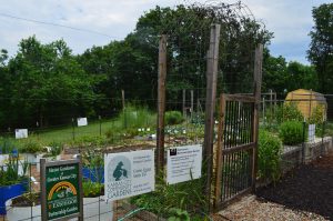 Local government support for urban agriculture has contributed to its rise in Wyandotte County. Image Source: American Farmland Trust